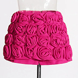 SUPER WHOLESALE| Roses Shorts