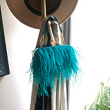 SUPER WHOLESALE | Ostrich Feather Chain Crossbody Shoulder Bag