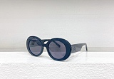 SUPER WHOLESALE | Oversized Frame Sunglasses