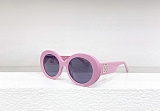 SUPER WHOLESALE | Oversized Frame Sunglasses