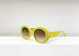SUPER WHOLESALE | Oversized Frame Sunglasses