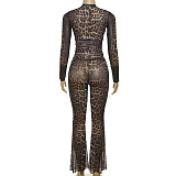 SUPER WHOLESALE | Leopard See-through Pants Set