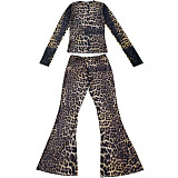 SUPER WHOLESALE | Leopard See-through Pants Set