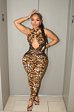 SUPER WHOLESALE | Sheer Mesh Patchwork Leopard Print Backless Jumpsuit
