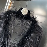 SUPER WHOLESALE| Feather See-through Top