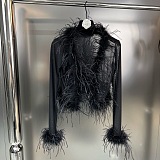 SUPER WHOLESALE| Feather See-through Top