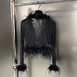 SUPER WHOLESALE| Feather See-through Top