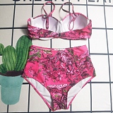 SUPER WHOLESALE |   Printed 2 piece Bikini
