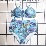 SUPER WHOLESALE |   Printed 2 piece Bikini