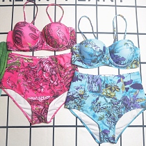 SUPER WHOLESALE |   Printed 2 piece Bikini
