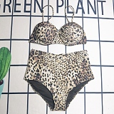 SUPER WHOLESALE |  Leopard 2 piece Swimwear