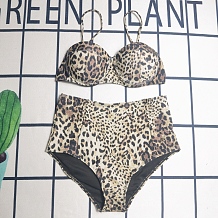 SUPER WHOLESALE |  Leopard 2 piece Swimwear