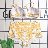 SUPER WHOLESALE |  Printed 2 piece Swimwear