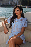 SUPER WHOLESALE | Lace See-through Dress