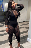 SUPER WHOLESALE |  Butterfly Mesh Jumpsuit