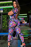 SUPER WHOLESALE |  Stand Collar Leopard Jumpsuit