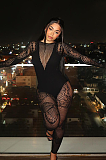 SUPER WHOLESALE |  Butterfly Mesh Jumpsuit