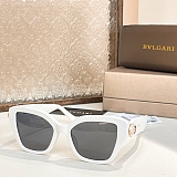 SUPER WHOLESALE | Big Frame Sunglasses
