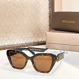 SUPER WHOLESALE | Big Frame Sunglasses