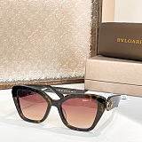 SUPER WHOLESALE | Big Frame Sunglasses