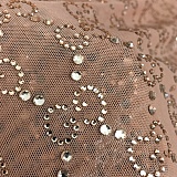 SUPER WHOLESALE | See-through Lace Top