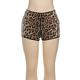 SUPER WHOLESALE |  Leopard Sequin Shorts