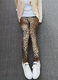 SUPER WHOLESALE | Leopard Printed Leggings