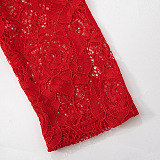 SUPER WHOLESALE | Stand Neck Lace Long Sleeve Back Zip Up Long Dress
