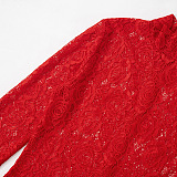 SUPER WHOLESALE | Stand Neck Lace Long Sleeve Back Zip Up Long Dress