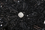 SUPER WHOLESALE | Flower Set