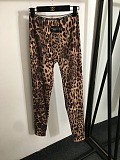 SUPER WHOLESALE | Leopard  Jogging Suit