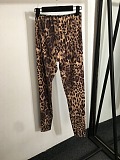 SUPER WHOLESALE | Leopard  Jogging Suit
