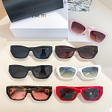 SUPER WHOLESALE | Big Frame Sunglasses