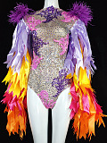 SUPER WHOLESALE | Feather Sleeve Cortset Top
