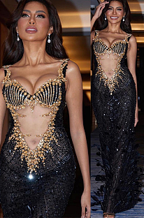 SUPER WHOLESALE | Rhinestone Feather Gown