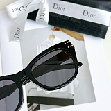 SUPER WHOLESALE | Big Frame Sunglasses