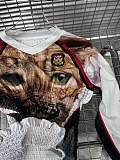 SUPER WHOLESALE | Printed Sweater Top