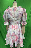 SUPER WHOLESALE | Printed Plunging Neck Mini Dress