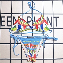 Printed  Bikini 2 Piece Swimwear