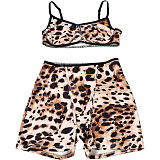 SUPER WHOLESALE | Leopard Shorts Set with Bra Top