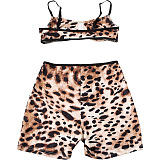 SUPER WHOLESALE | Leopard Shorts Set with Bra Top