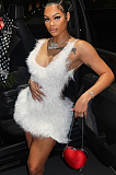 SUPER WHOLESALE | Fur Mini Dress