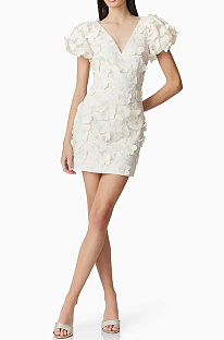 SUPER WHOLESALE | V-neck Butterfly Mini Dress