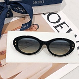 SUPER WHOLESALE | Oval Frame Sunglasses