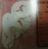 No.3-No.8 Generic Movement Holder Ring Plastic Spacer 5 1/2 LIGNE Sizes