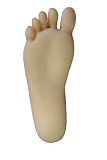 Sanhui doll (TPE製) 145cm Dカップ ＃T5ヘッド TPE製ラブドール