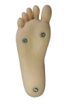 Sanhui doll (TPE製) 145cm Fカップ （巨乳）＃T9ヘッド（Ｔ7のノーマル耳）  TPE製ラブドール