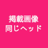 DOM DOLL シリコンヘッド単体 頭のみ 等身大リアルラブドール