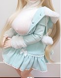 Mini Doll ミニドール 最新作火野丽ヘッド 60cm 巨乳 シリコン製ドール 軽量化 収納が便利 使いやすい 普段は鑑賞用 小さいラブドール 女性素体 フィギュア cosplay