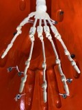 guavadoll（グアバ）番石榴 132cm AAカップ SANAヘッド  ビニール（PVC）ヘッド+TPEボディ 1：1 等身大ラブドール ジョイントM16 他社と交換可能 138-150ＣＭのボディに適用 ナチュラル肌色